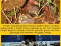 Dziecko jest cudem