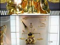 Saint seiya