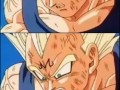 Vegeta układa