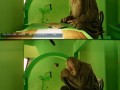 Prawda o hobbicie
