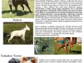 Pomyśl zanim skrzywdzisz