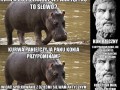 Jak hipcio stał się hipciem