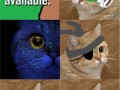Cats d