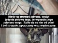 Wiara w ludzkość odzyskana