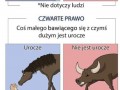 Prawo uroczości