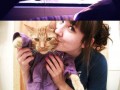 Cat love