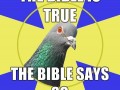 Religion pidgeon