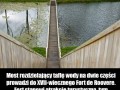 Ciekawy pomysł