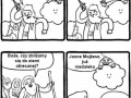 Pokaż mi