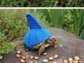 Magnificent tortoise cozies