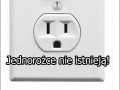 O czym rozmawiają gniazdka