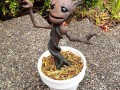 Groot