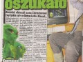 Oszuści z kosmosu