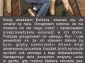 Psy już wiedzą
