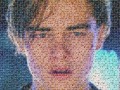 Biedny leo