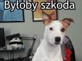 Byłoby szkoda