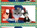 Pacz i kot