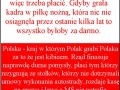 Płatne mś 20141cac