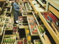 Muzeum historii naturalnej w nowym jorku