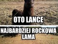 Oto lance