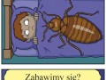 Zabawimy się