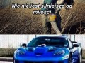 Nic nie jest silniejsze od miłości