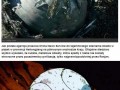 A jednak son goku istnieje