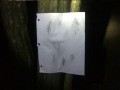 Slender in real