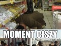 Moment ciszy