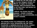 Król julian i melman