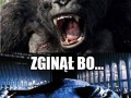 Nawet king kong