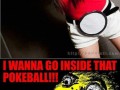 Chcę do pokeballa
