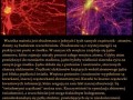 Wszystko jest illuminacją