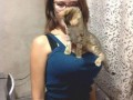 Koty i cycki