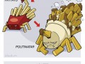 Food evolution