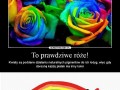 Moze beda je sprzedawac