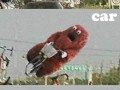 Car stahp