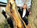 Liseł drzewny