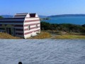 Koci raj 