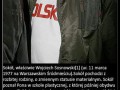 Sokół