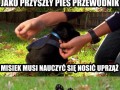 Misiek jest na dobrej drodze