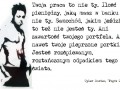 Tyler durden
