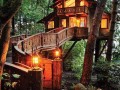 Hotel w amazonii