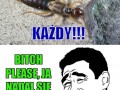 Bitch please szczypawico