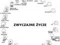 Cykl życia