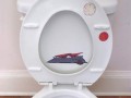 Jama sarlacca