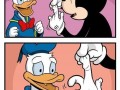 Donaldduckmiazga