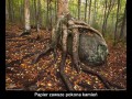 Papier i kamień