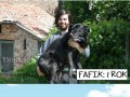Fafik