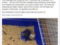 Nie zostawiaj nigdy zwierzaka pod opieką chłopaka